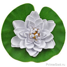 Декоративное растение Водяная лилия белая 20