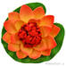 Декоративное растение Водяная лилия оранжевая 10.5
