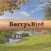 Лопата прямоугольная садовая 150 см Berry and Bird 80011212