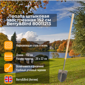 Лопата штыковая заостренная 152 см Berry and Bird 80011213
