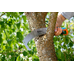 Изогнутая садовая пила GARDENA combisystem 300 PP 8738